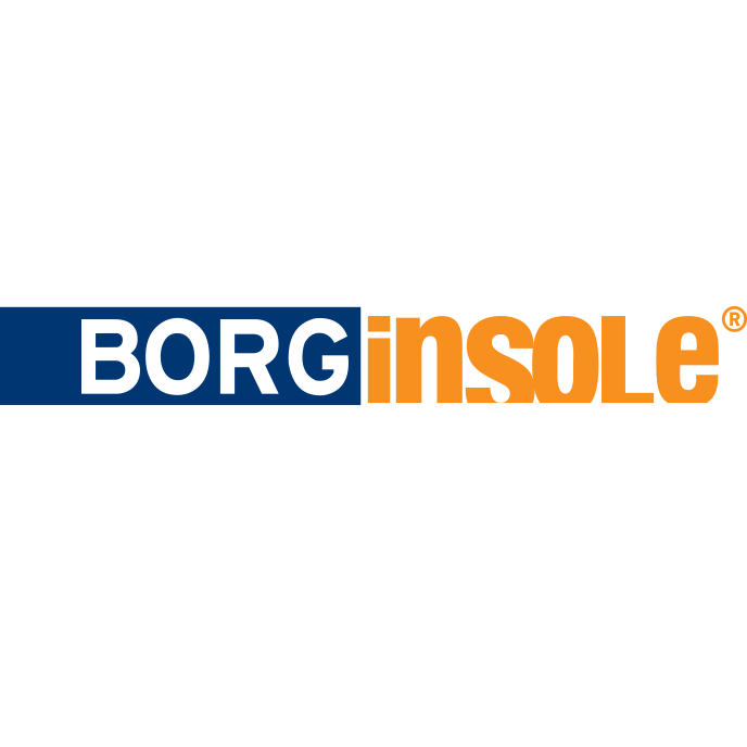 partner-borginsole (1) (1)